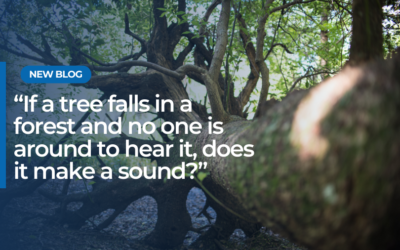 “If a tree falls in a forest and no one is around to hear it, does it make a sound?”