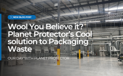 Wool you believe it? Planet Protect’s cool solution to packaging waste