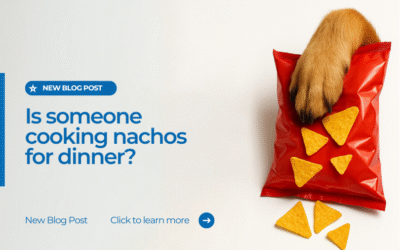 Is someone cooking Nachos for dinner?