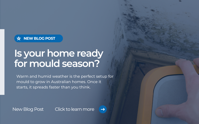 Is Your Home Ready for Mould Season?