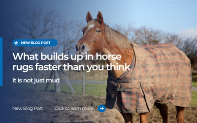 Horse Rug Hygiene in Real Life: What Builds Up First