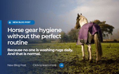 Horse Gear Hygiene Without The Perfect Routine
