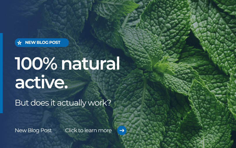 Fresh green mint leaves representing natural anti-odour textile treatment